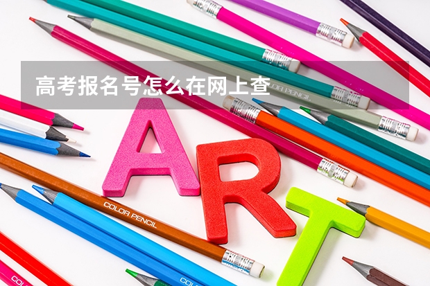 高考报名号怎么在网上查