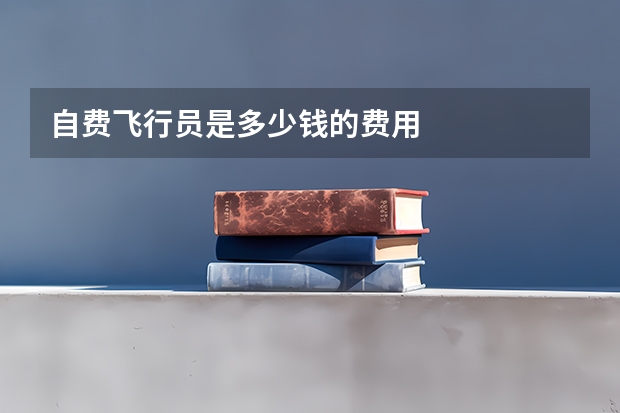 自费飞行员是多少钱的费用