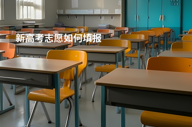 新高考志愿如何填报