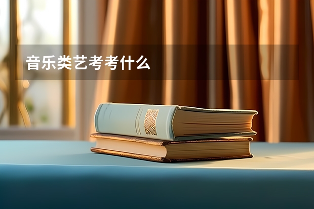 音乐类艺考考什么