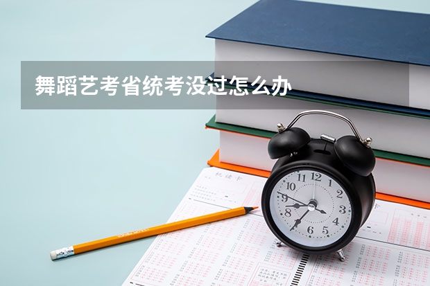 舞蹈艺考省统考没过怎么办