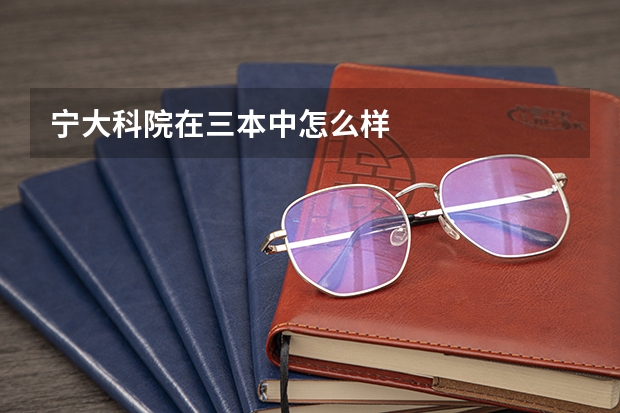 宁大科院在三本中怎么样