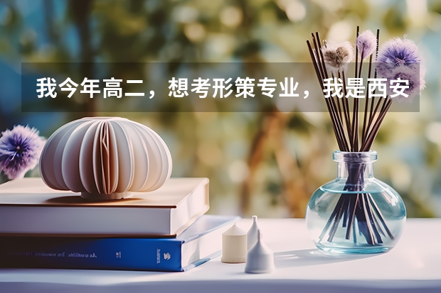 我今年高二，想考形策专业，我是西安的，哪个地方有形策类艺考考前指导？请指教