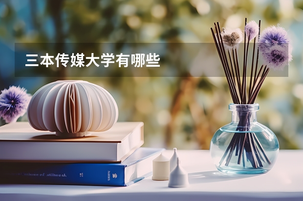 三本传媒大学有哪些