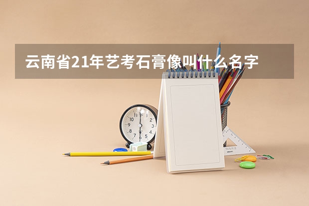 云南省21年艺考石膏像叫什么名字