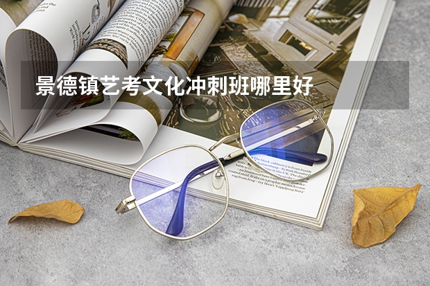 景德镇艺考文化冲刺班哪里好