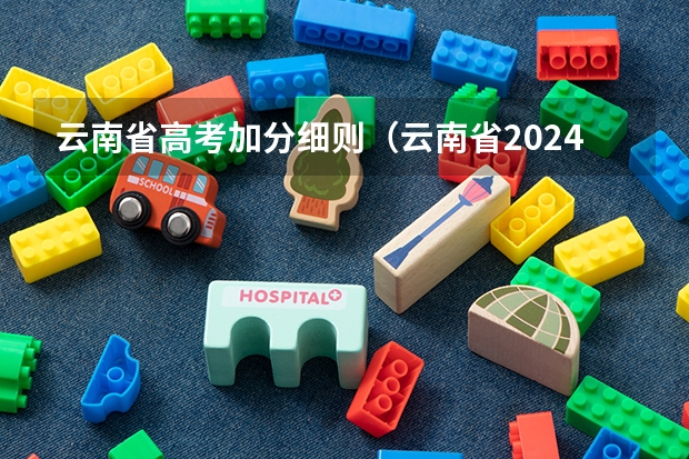 云南省高考加分细则（云南省2024年高考加分政策）