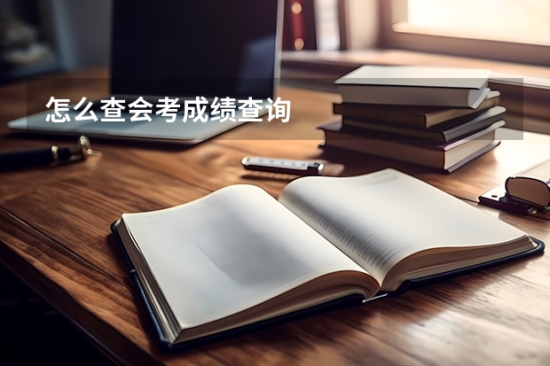怎么查会考成绩查询