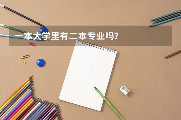 一本大学里有二本专业吗?