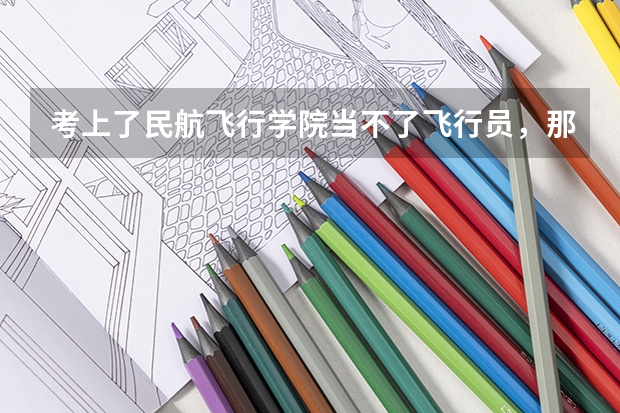 考上了民航飞行学院当不了飞行员，那做什么