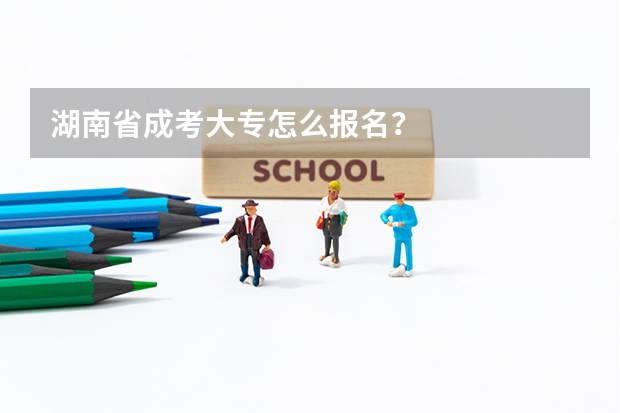 湖南省成考大专怎么报名？