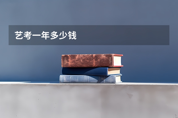 艺考一年多少钱