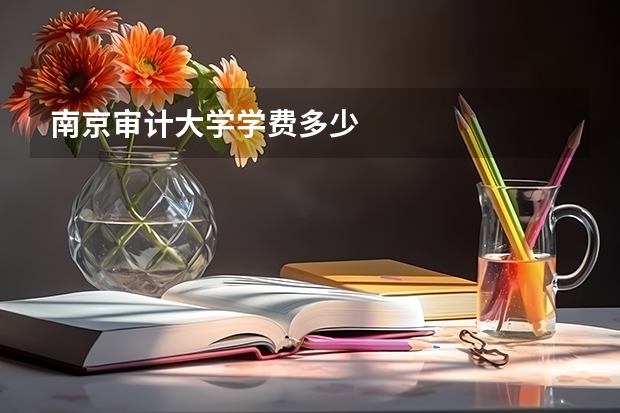 南京审计大学学费多少