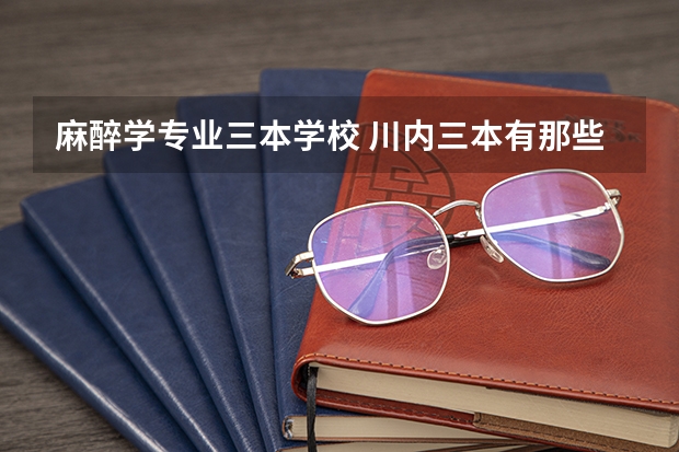 麻醉学专业三本学校 川内三本有那些好的医科院校