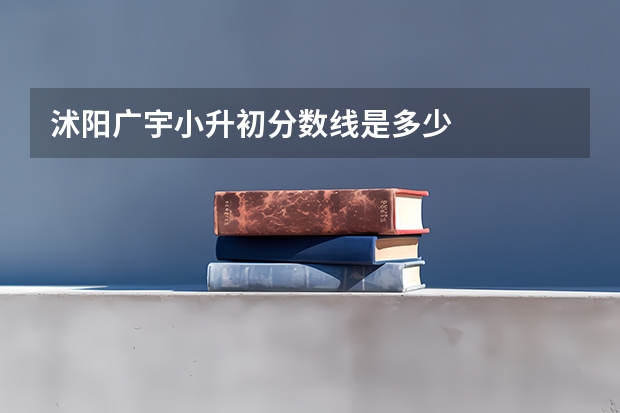 沭阳广宇小升初分数线是多少