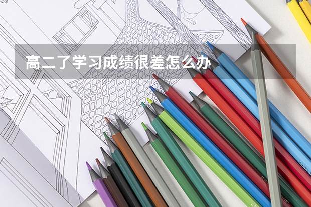 高二了学习成绩很差怎么办