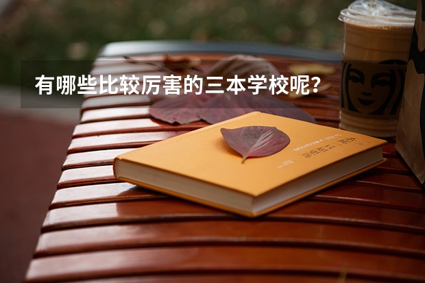 有哪些比较厉害的三本学校呢？