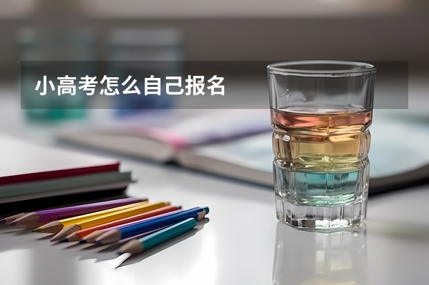小高考怎么自己报名