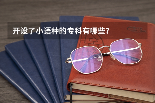 开设了小语种的专科有哪些？