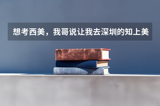 想考西美,我哥说让我去深圳的知上美术画室集训,成功率会更高,是真的吗
