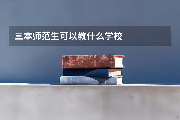 三本师范生可以教什么学校