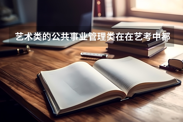 艺术类的公共事业管理类在在艺考中都考些什么样的内容啊？能否具体些？