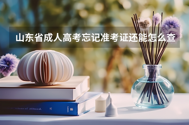 山东省成人高考忘记准考证还能怎么查成绩呢？
