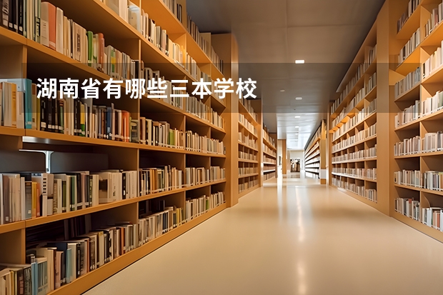 湖南省有哪些三本学校