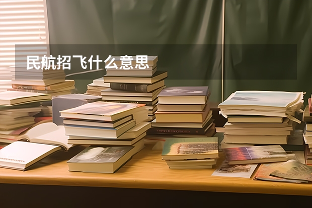 民航招飞什么意思