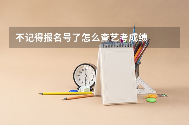 不记得报名号了怎么查艺考成绩