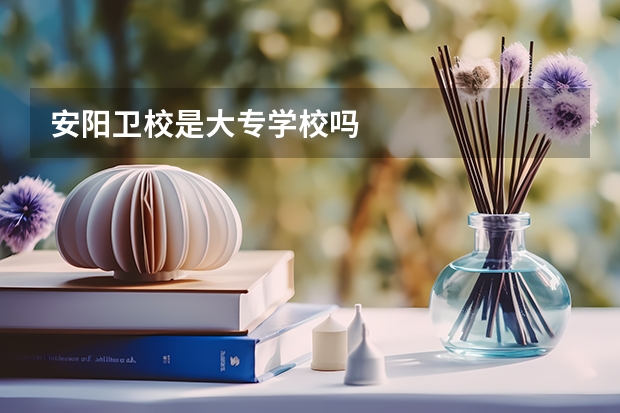 安阳卫校是大专学校吗