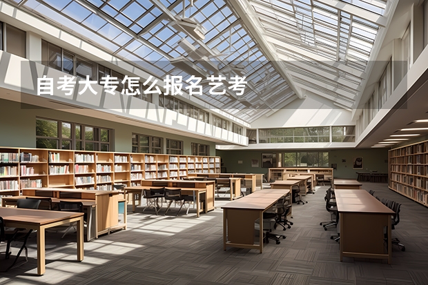 自考大专怎么报名艺考