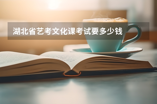 湖北省艺考文化课考试要多少钱