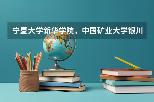 宁夏大学新华学院，中国矿业大学银川学院，银川能源学院，宁夏理工学院，这四个三本学校哪个好