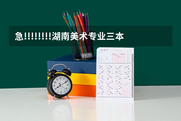 急!!!!!!!!湖南美术专业三本中哪个学校好