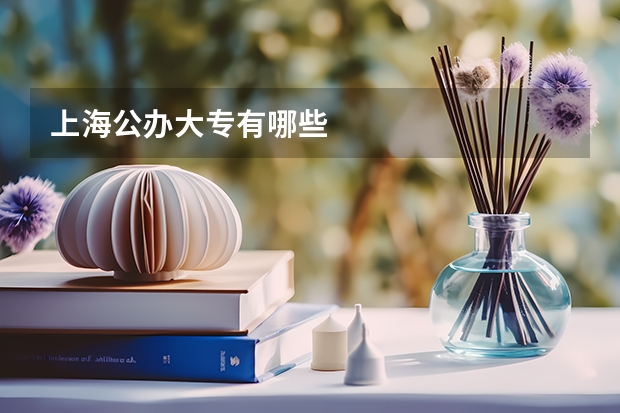上海公办大专有哪些