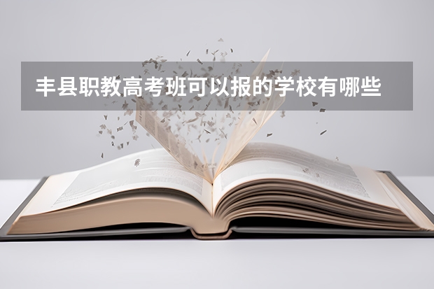 丰县职教高考班可以报的学校有哪些