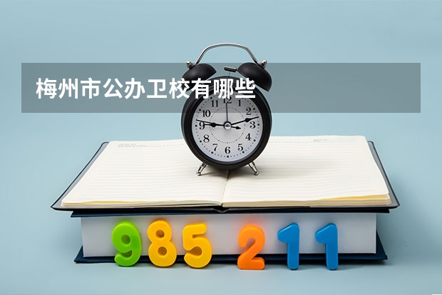 梅州市公办卫校有哪些