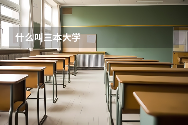 什么叫三本大学
