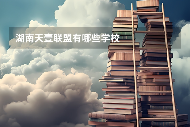 湖南天壹联盟有哪些学校