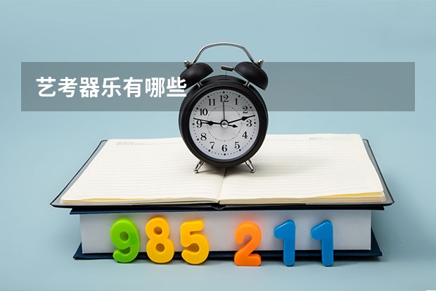 艺考器乐有哪些