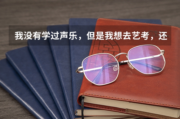 我没有学过声乐，但是我想去艺考，还可以吗