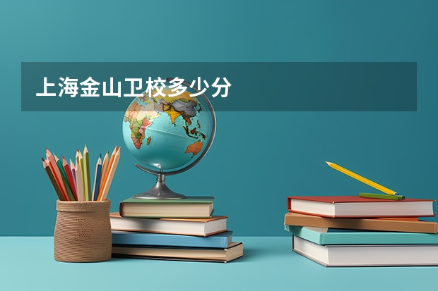 上海金山卫校多少分
