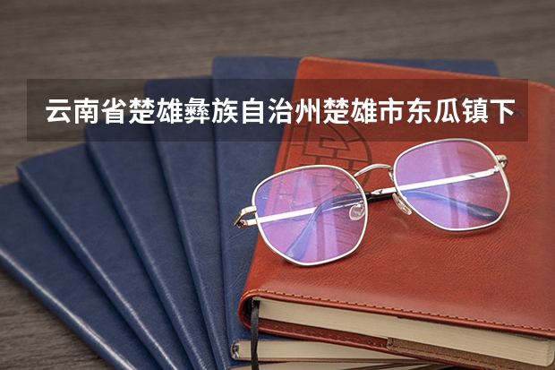云南省楚雄彝族自治州楚雄市东瓜镇下辖村委会有哪些？