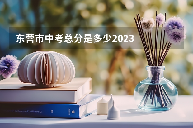 东营市中考总分是多少2023