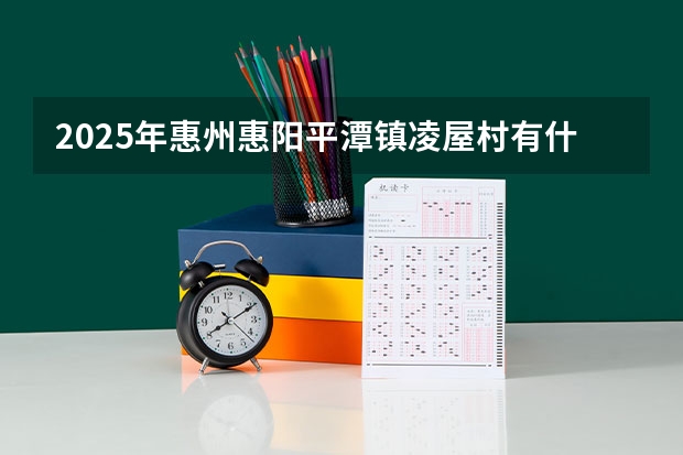 2025年惠州惠阳平潭镇凌屋村有什么规划?