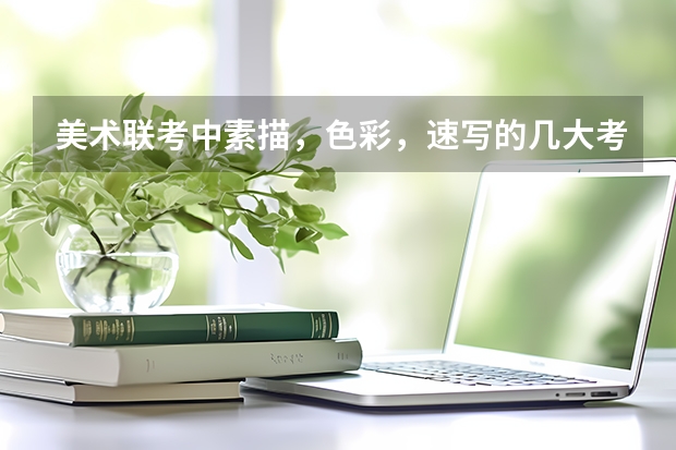 美术联考中素描，色彩，速写的几大考点（要点）是什么？？