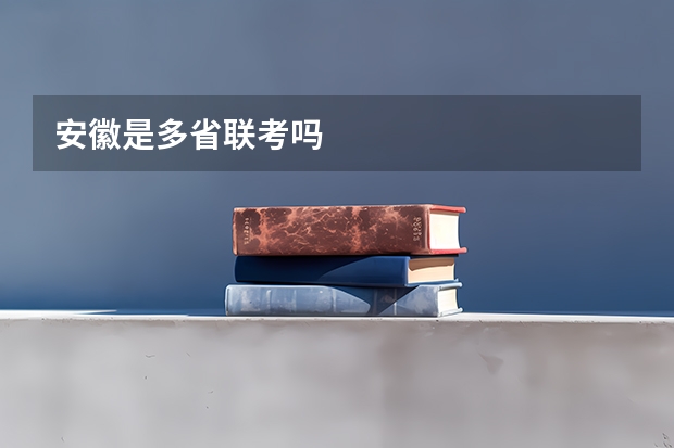 安徽是多省联考吗