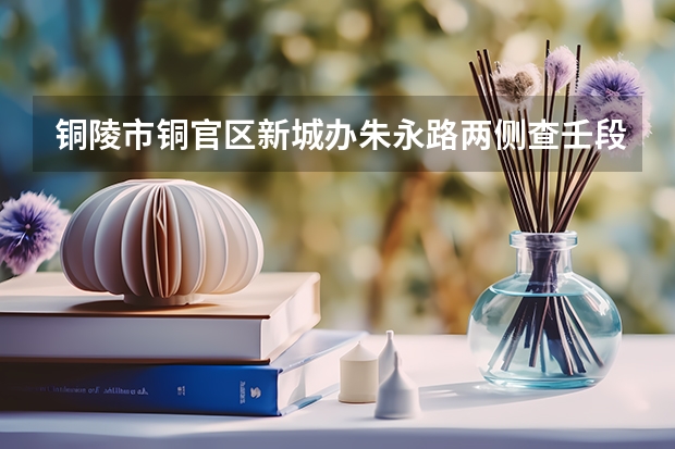 铜陵市铜官区新城办朱永路两侧查壬段新城大道以东在2025年有着怎样的规划安排呢