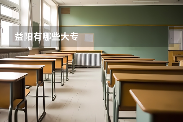 益阳有哪些大专